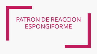 PATRON DE REACCION
ESPONGIFORME
 