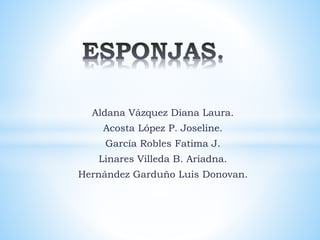 Aldana Vázquez Diana Laura.
Acosta López P. Joseline.
García Robles Fatima J.
Linares Villeda B. Ariadna.
Hernández Garduño Luis Donovan.
 