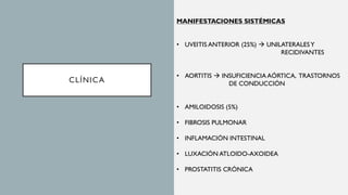 CLÍNICA
FASE INICIAL
+ FRECUENTE
• SÍNDROME SACROILIACO
• DOLOR LUMBAR
- FRECUENTE
• IRITIS
• SINOVITIS PERIFÉRICA
• ENTESITIS
MANIFESTACIONES SISTÉMICAS
• UVEITIS ANTERIOR (25%) → UNILATERALESY
RECIDIVANTES
• AORTITIS → INSUFICIENCIA AÓRTICA, TRASTORNOS
DE CONDUCCIÓN
• AMILOIDOSIS (5%)
• FIBROSIS PULMONAR
• INFLAMACIÓN INTESTINAL
• LUXACIÓN ATLOIDO-AXOIDEA
• PROSTATITIS CRÓNICA
 