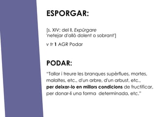 ESPORGAR: [s. XIV; del ll.  Exp?rgare 'netejar d'all dolent o sobrant'] v   tr   1  AGR Podar   PODAR:  Tallar i treure les branques suprflues, mortes, malaltes, etc., d'un arbre, d'un arbust, etc.,  per deixar-lo en millors condicions  de fructificar, per donar-li una forma  determinada, etc. 
