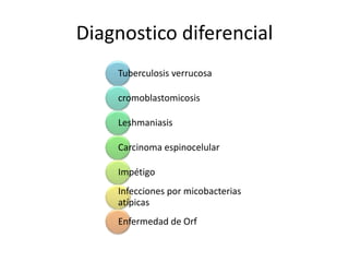Diagnostico diferencial
    Tuberculosis verrucosa

    cromoblastomicosis

    Leshmaniasis

    Carcinoma espinocelular

    Impétigo
    Infecciones por micobacterias
    atípicas
    Enfermedad de Orf
 