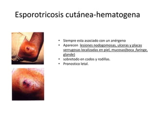 Esporotricosis cutánea-hematogena

           • Siempre esta asociado con un anérgeno
           • Aparecen lesiones nodogomosas, ulceras y placas
             verrugosas localizadas en piel, mucosas(boca ,faringe,
             glande)
           • sobretodo en codos y rodillas.
           • Pronostico letal.
 