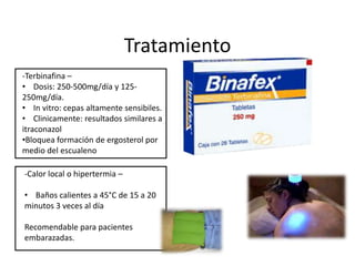 Tratamiento
-Terbinafina –
• Dosis: 250-500mg/día y 125-
250mg/día.
• In vitro: cepas altamente sensibiles.
• Clinicamente: resultados similares a
itraconazol
•Bloquea formación de ergosterol por
medio del escualeno

-Calor local o hipertermia –

• Baños calientes a 45°C de 15 a 20
minutos 3 veces al día

Recomendable para pacientes
embarazadas.
 