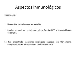 Aspectos inmunológicos
Importancia:



• Diagnóstico como intradermorreacción

• Pruebas serológicas: contrainmunoelectroforesis (CIEF) e inmunodifusión
  en gel (ID).



Se han encontrado reacciones serológicas cruzadas con Ophiostoma,
   Europhium, y sueros de pacientes con histoplasmosis.
 