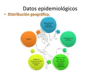 Datos epidemiológicos
                                .
                          Reportada en
                            todos los
                           continentes




                                                   Transvaal y sur
 México
                                                      de Africa




                                         Mayor numero
          Epidemia                        de casos en
      (zoonosis) en Rio                  Perú, México,
         de janeiro y                      Colombia,
            Brasil.                        Uruguay y
                                          Guatemala
 