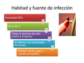 Habitad y fuente de infección
Humedad 90%


 20 a 25 C

   Todas la épocas del año
   (otoño e invierno)

     En México en temporada
     de lluvias

       Plantas, flores, paja y
       zacate (armadillo).
 