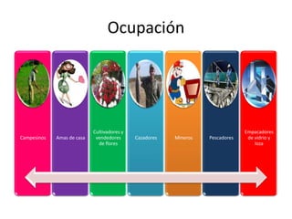 Ocupación




                            Cultivadores y                                      Empacadores
Campesinos   Amas de casa    vendedores      Cazadores   Mineros   Pescadores    de vidrio y
                              de flores                                             loza
 