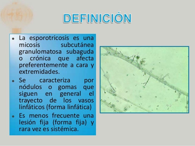 Como sanar el hongo de la uña por la agua oxigenada