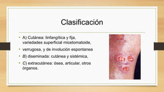 esporotricosis-dermatolog-a-pptx