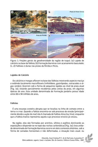 Figura 3. Feições gerais da geodiversidade da região de Icapuí. (a) Lajedo de
calcário na base da falésia; (b) Formação Barreiras com acamamento basculado;
(c, d) Falésias e dunas nas praias da Peroba e Picos.



Lajedos de Calcário

   Os calcários e margas afloram na base das falésias mostrando aspecto maciço
e exibindo localmente macrofósseis (miliolídeos, gastrópodas, ostracodes e al-
gas verdes). Ocorrem sob a forma de pequenos lajedos ao nível da praia atual
(Fig. 3a), estando parcialmente recobertas pelas areias da praia, em algumas
épocas do ano. Esta unidade denominada de Formação Jandaíra possui idade
entre 80 e 90 milhões de anos.



Falésias

  É uma escarpa costeira abrupta que se localiza na linha de contato entre a
terra e o mar. Quando a falésia encontra-se sob processo de erosão (principal-
mente devido a ação do mar) ela é chamada de Falésia Ativa (ou Viva), enquanto
que a Falésia Inativa representa aquela cujo processo erosivo já cessou.

  Na região, elas são formadas por arenitos, siltitos e argilitos dominando as
exposições e dispondo-se no topo das rochas carbonáticas (Fig. 3a). Esta unida-
de denominada de Formação Barreiras ocorre em dois contextos distintos, sob a
forma de camadas horizontais e não deformadas, a situação mais usual, ou


                                      Almeida, Ana Cristina P.C. de & DaCosta, Lamartine P.
            Meio ambiente, esporte, Lazer e turismo. Rio de Janeiro: Editora Gama Filho, 2007
 