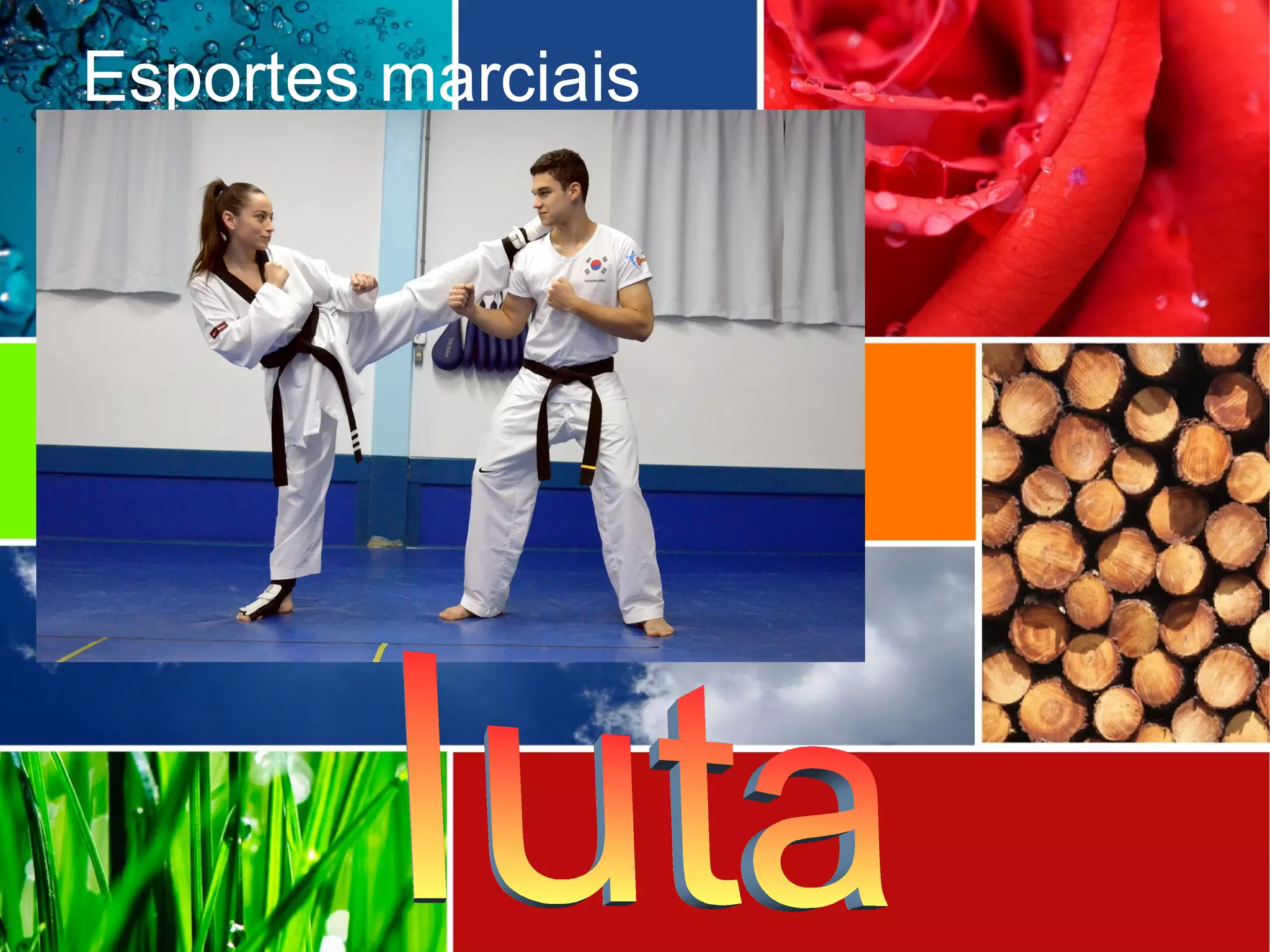 Esportes marciais