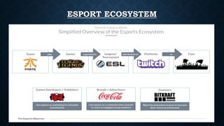 ESPORT ECOSYSTEM
 