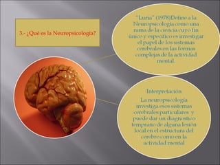 3.- ¿Qué es la Neuropsicología? 