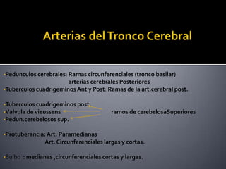 •Pedunculos cerebrales: Ramas circunferenciales (tronco basilar)
arterias cerebrales Posteriores
•Tuberculos cuadrigeminos Ant y Post: Ramas de la art.cerebral post.
•Tuberculos cuadrigeminos post.
•Valvula de vieussens ramos de cerebelosaSuperiores
•Pedun.cerebelosos sup.
•Protuberancia: Art. Paramedianas
Art. Circunferenciales largas y cortas.
•Bulbo : medianas ,circunferenciales cortas y largas.
 