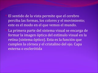  El sentido de la vista permite que el cerebro
  perciba las formas, los colores y el movimiento;
  este es el modo en el que vemos el mundo.
 La primera parte del sistema visual se encarga de
  formar la imagen óptica del estímulo visual en la
  retina (sistema óptico). Esta es la función que
  cumplen la córnea y el cristalino del ojo. Capa
  externa o esclerótida
 