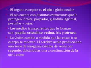  - El órgano receptor es el ojo o globo ocular.
 - El ojo cuenta con distintas estructuras que lo
  protegen: órbita, párpados, glándula lagrimal,
  pestañas y cejas.
 - Los medios transparentes que lo forman
  son: pupila, cristalino, retina, iris y córnea.
 - La visión cambia a medida que las cosas o tu
  cuerpo se mueven. El cerebro actúa produciendo
  una serie de imágenes cientos de veces por
  segundo, ubicándolas una a continuación de la
  otra, como
 