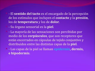  - El sentido del tacto es el encargado de la percepción
  de los estímulos que incluyen el contacto y la presión,
  los de temperatura y los de dolor.
 - Su órgano sensorial es la piel.
 - La mayoría de las sensaciones son percibidas por
  medio de los corpúsculos, que son receptores que
  están encerrados en cápsulas de tejido conjuntivo y
  distribuidos entre las distintas capas de la piel.
 - Las capas de la piel se llaman epidermis, dermis,
  e hipodermis.
 