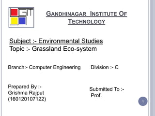 GANDHINAGAR INSTITUTE OF
TECHNOLOGY
1
Subject :- Environmental Studies
Topic :- Grassland Eco-system
Prepared By :-
Grishma Rajput
(160120107122)
Submitted To :-
Prof.
Branch:- Computer Engineering Division :- C
 