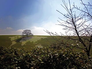 European Soil Partnership