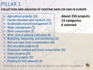 PILLAR 1
COLLECTION AND ANALYSIS OF EXISTING DATA ON SSM IN EUROPE
 Agricultural projects (34)
 Farmer education and outreach (12)
 Sustainable manure management (7)
 Water management (7)
 River conservation (7)
 Wine, olive & pistacia cultivation (6)
 Modelling, measuring, and monitoring (32)
 Soil and water toxic contamination (44)
 Soil microbial projects (8)
 Grassland, wetland and forest conservation (35)
 Urban projects (25)
 Unusual projects (22)
 Existing EU soil networks (9)
About 250 projects
13 categories
6 selected
 