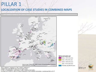 PILLAR 1
LOCALIZATION OF CASE STUDIES IN COMBINED MAPS
 