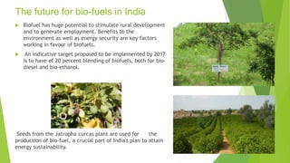 The future for bio-fuels in India
 Biofuel has huge potential to stimulate rural development
and to generate employment. Benefits to the
environment as well as energy security are key factors
working in favour of biofuels.
 An indicative target proposed to be implemented by 2017
is to have of 20 percent blending of biofuels, both for bio-
diesel and bio-ethanol.
Seeds from the Jatropha curcas plant are used for the
production of bio-fuel, a crucial part of India's plan to attain
energy sustainability.
 