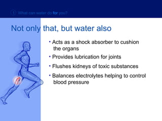 Not only that, but water also Acts as a shock absorber to cushion    the organs Provides lubrication for joints Flushes kidneys of toxic substances Balances electrolytes helping to control    blood pressure 1  What can water do   for   you? 