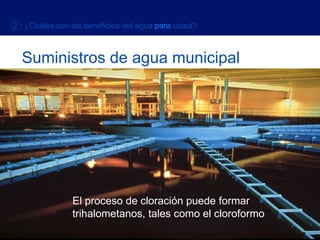 El proceso de cloración puede formar trihalometanos, tales como el cloroformo Suministros de agua municipal 2  ¿Cuáles son los beneficios del agua   para   usted? 