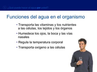 Funciones del agua en el organismo Transporta las vitaminas y los nutrientes    a las células, los tejidos y los órganos Humedece los ojos, la boca y las vías    nasales Regula la temperatura corporal Transporta oxígeno a las células 1  ¿Qué puede hacer el agua   por   usted? 