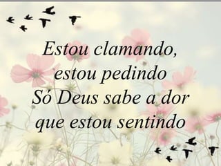 Estou clamando, 
estou pedindo 
Só Deus sabe a dor 
que estou sentindo 
 