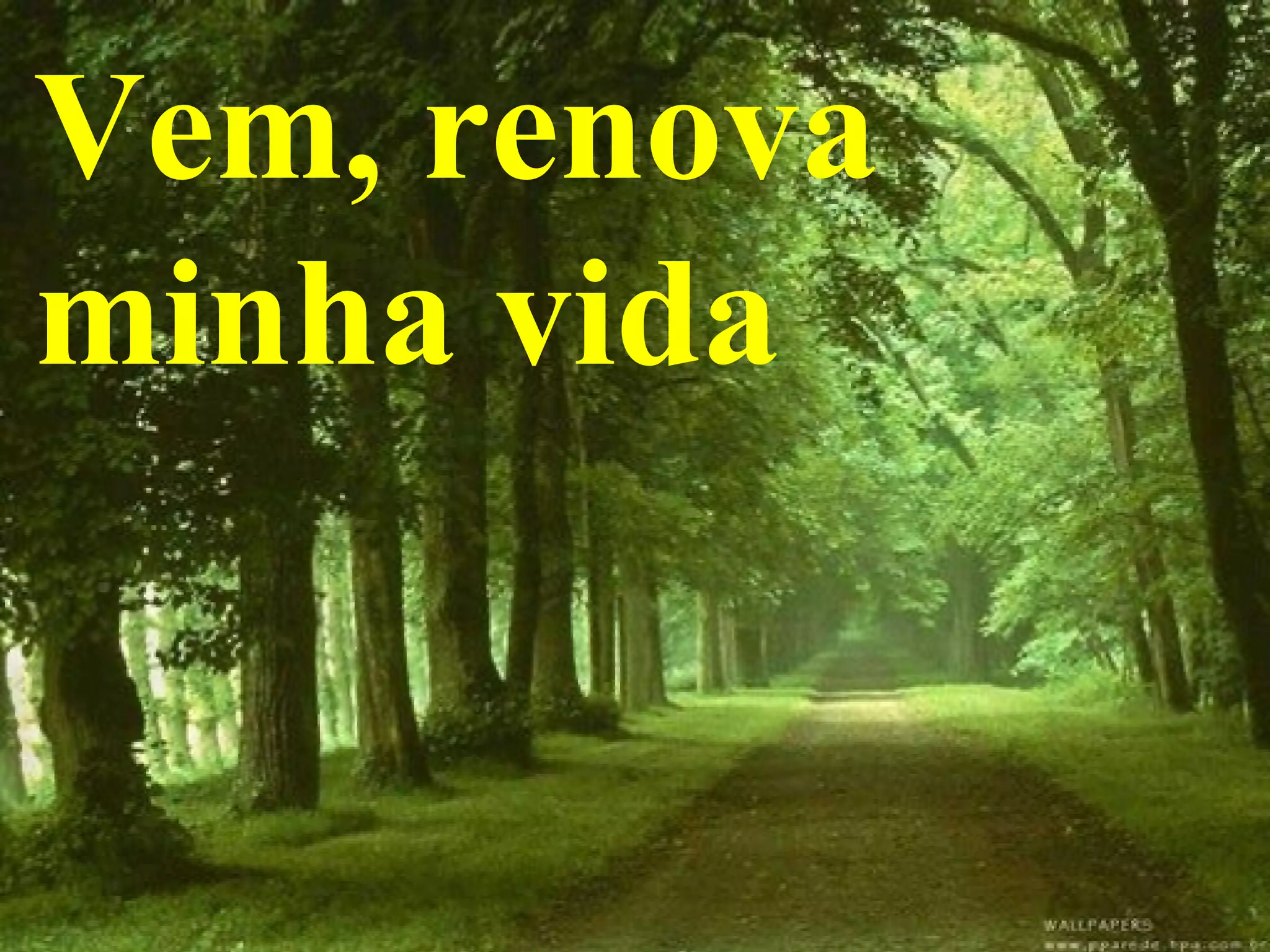 Vem, renova
minha vida