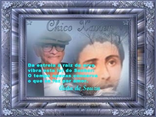 Da estrela à raiz da erva vibra esta lei do Senhor: O tempo apenas conserva o que se faz por amor. Auta de Souza 