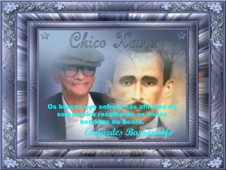 Os braços que sofrem nas aflições da sementeira recolherão os frutos benditos da Seara.   Eurípedes Barsanulfo 