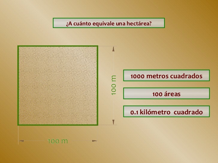 Cuántos Metros Cuadrados Equivale Una Hectárea