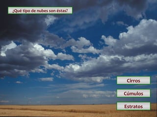 ¿Qué tipo de nubes son éstas?

Cirros
Cúmulos
Estratos

 