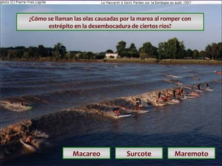 ¿Cómo se llaman las olas causadas por la marea al romper con
estrépito en la desembocadura de ciertos ríos?

Macareo

Surcote

Maremoto

 