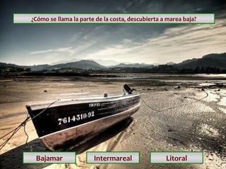 ¿Cómo se llama la parte de la costa, descubierta a marea baja?

Bajamar

Intermareal

Litoral

 