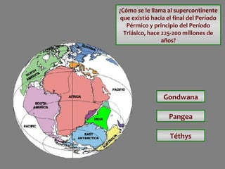 ¿Cómo se le llama al supercontinente
que existió hacia el final del Período
Pérmico y principio del Período
Triásico, hace 225-200 millones de
años?

Gondwana
Pangea
Téthys

 