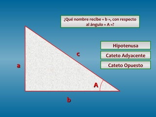 ¿Qué nombre recibe « b », con respecto
al ángulo « A »?

Hipotenusa

c

Cateto Adyacente

a

Cateto Opuesto

A
b

 