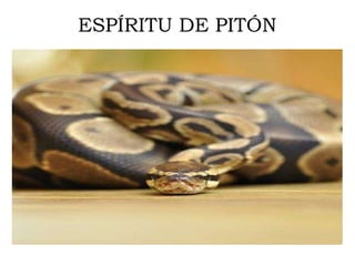 ESPÍRITU DE PITÓN
 