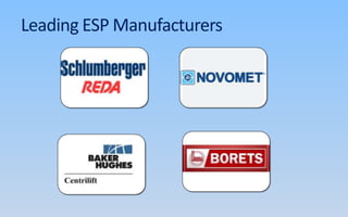 Leading ESP Manufacturers
 