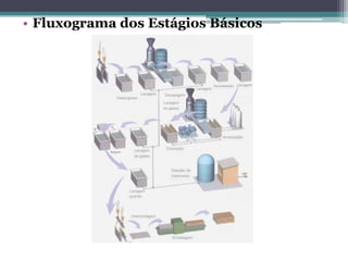 • Fluxograma dos Estágios Básicos
 