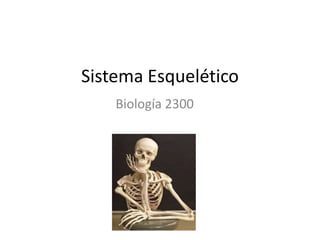Sistema Esquelético
    Biología 2300
 