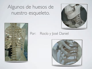 Algunos de huesos de
 nuestro esqueleto.


         Por:   Rocío y José Daniel
 