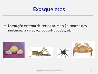 Exosqueletos

• Formação externa de certos animais ( a concha dos
  moluscos, a carapaça dos artrópodes, etc.)




                  * Esqueletos, músculos e articulações *   16
 