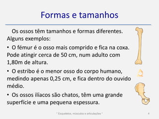 Formas e tamanhos
  Os ossos têm tamanhos e formas diferentes.
Alguns exemplos:
• O fémur é o osso mais comprido e fica na coxa.
Pode atingir cerca de 50 cm, num adulto com
1,80m de altura.
• O estribo é o menor osso do corpo humano,
medindo apenas 0,25 cm, e fica dentro do ouvido
médio.
• Os ossos ilíacos são chatos, têm uma grande
superfície e uma pequena espessura.
                   * Esqueletos, músculos e articulações *   4
 