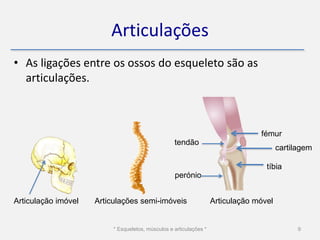 Articulações
• As ligações entre os ossos do esqueleto são as
  articulações.



                                                                                 fémur
                                                   tendão
                                                                                        cartilagem

                                                                                   tíbia
                                                   perónio


Articulação imóvel   Articulações semi-imóveis                      Articulação móvel


                          * Esqueletos, músculos e articulações *                             9
 