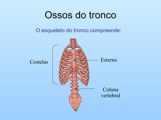 Ossos do tronco
O esqueleto do tronco compreende:
Esterno
Coluna
vertebral
Costelas
 