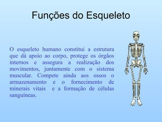 Funções do Esqueleto


O esqueleto humano constitui a estrutura
que dá apoio ao corpo, protege os órgãos
internos e assegura a realização dos
movimentos, juntamente com o sistema
muscular. Compete ainda aos ossos o
armazenamento e o fornecimento de
minerais vitais e a formação de células
sanguíneas.
 