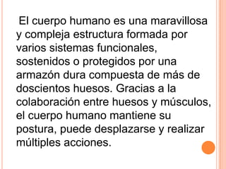 El cuerpo humano es una maravillosa
y compleja estructura formada por
varios sistemas funcionales,
sostenidos o protegidos por una
armazón dura compuesta de más de
doscientos huesos. Gracias a la
colaboración entre huesos y músculos,
el cuerpo humano mantiene su
postura, puede desplazarse y realizar
múltiples acciones.